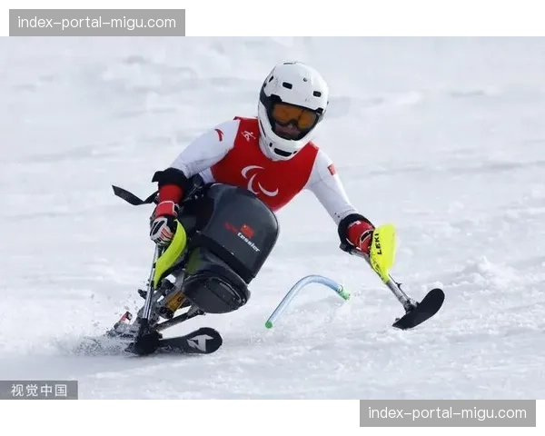 意大利选手德罗梅迪斯夺得自由式滑雪男子障碍追逐金牌