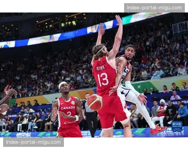 WNBA北美扩张：多伦多球队对加拿大篮球市场的影响